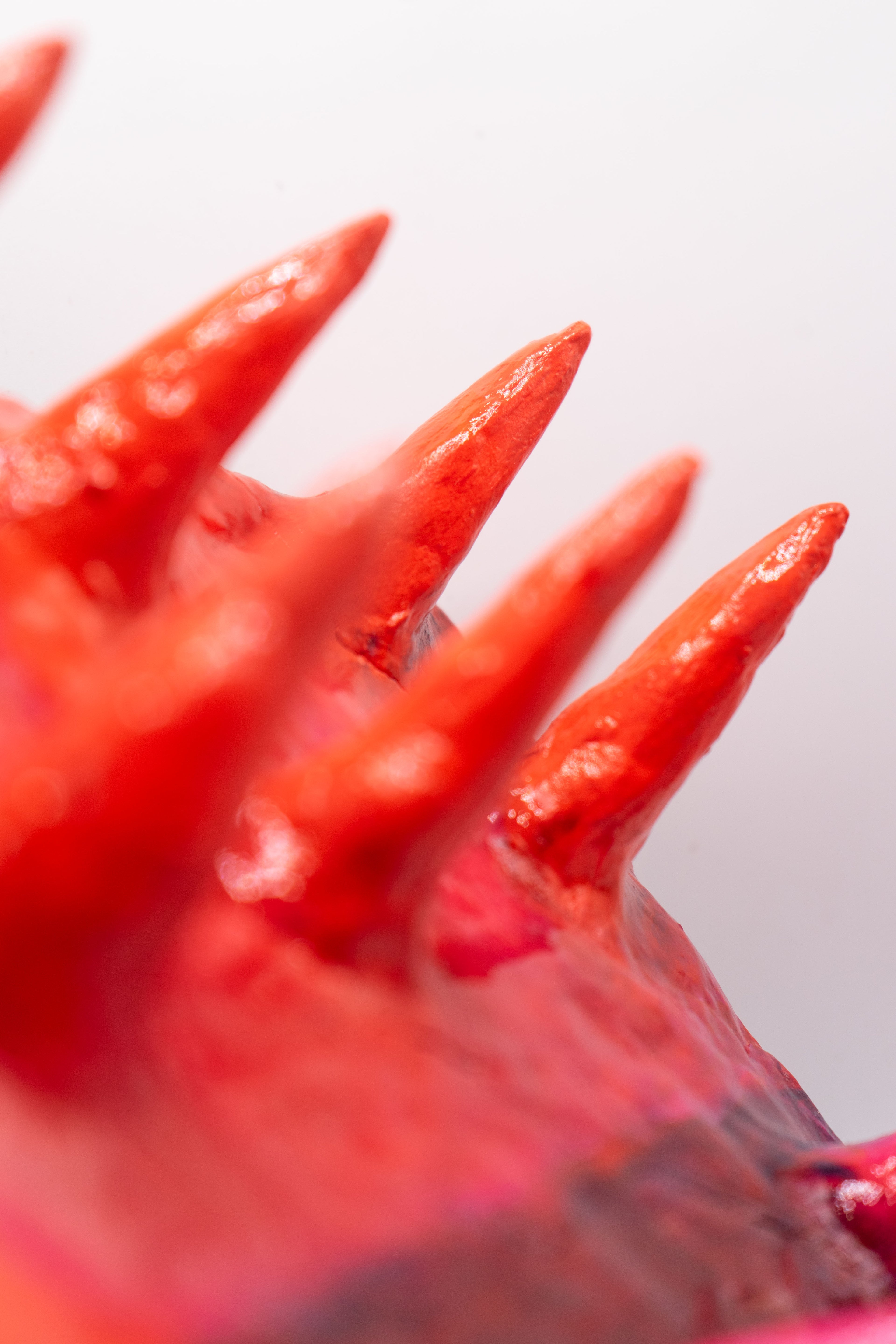 Cat: Dente de leite (r)