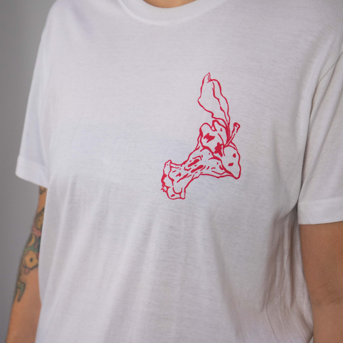 Apple T-shirt