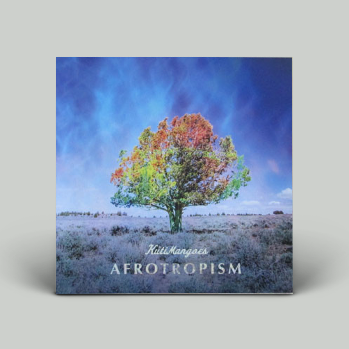 The Kuti Mangoes – Afrotropism