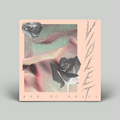 Violet – Bed Of Roses