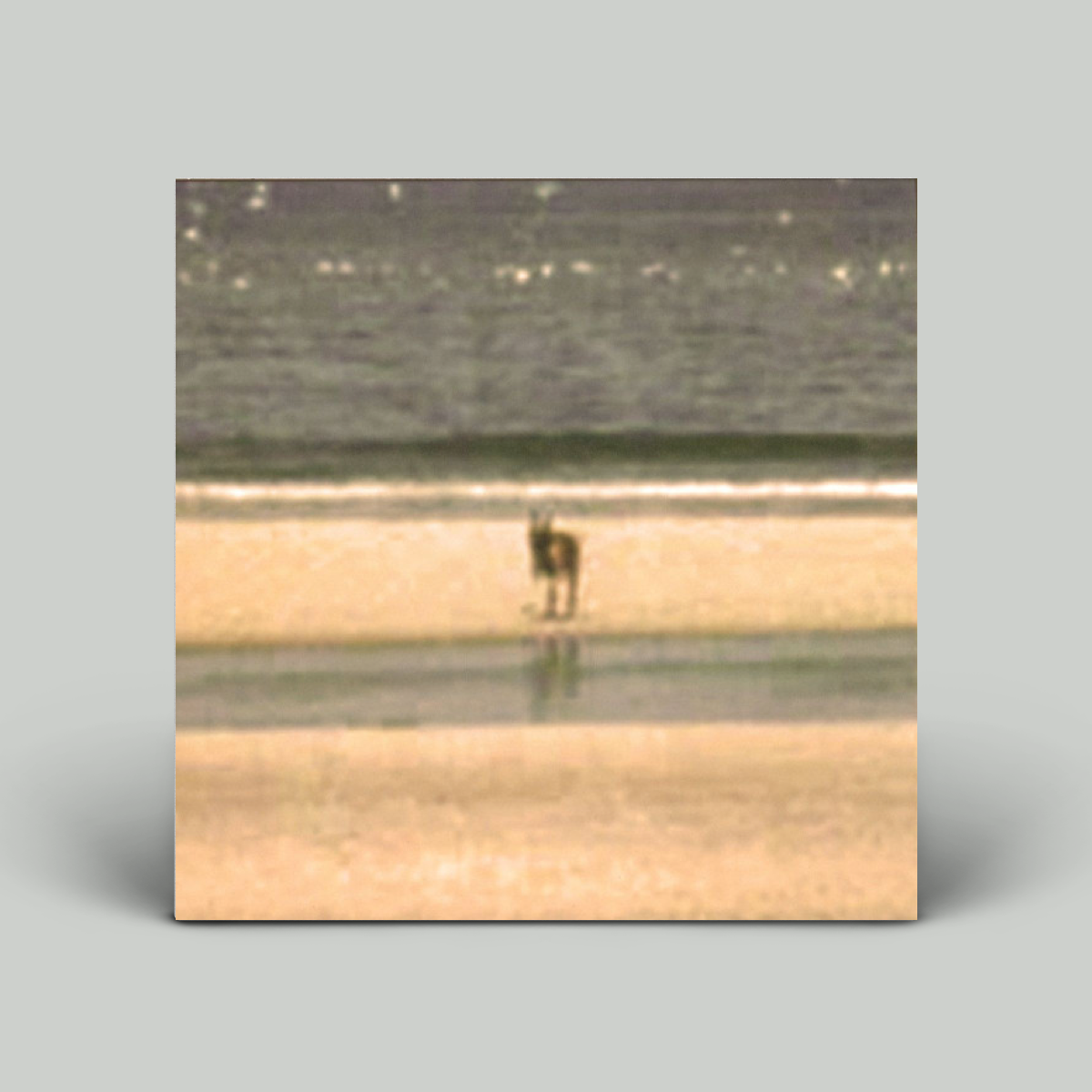 J Velez – Territories