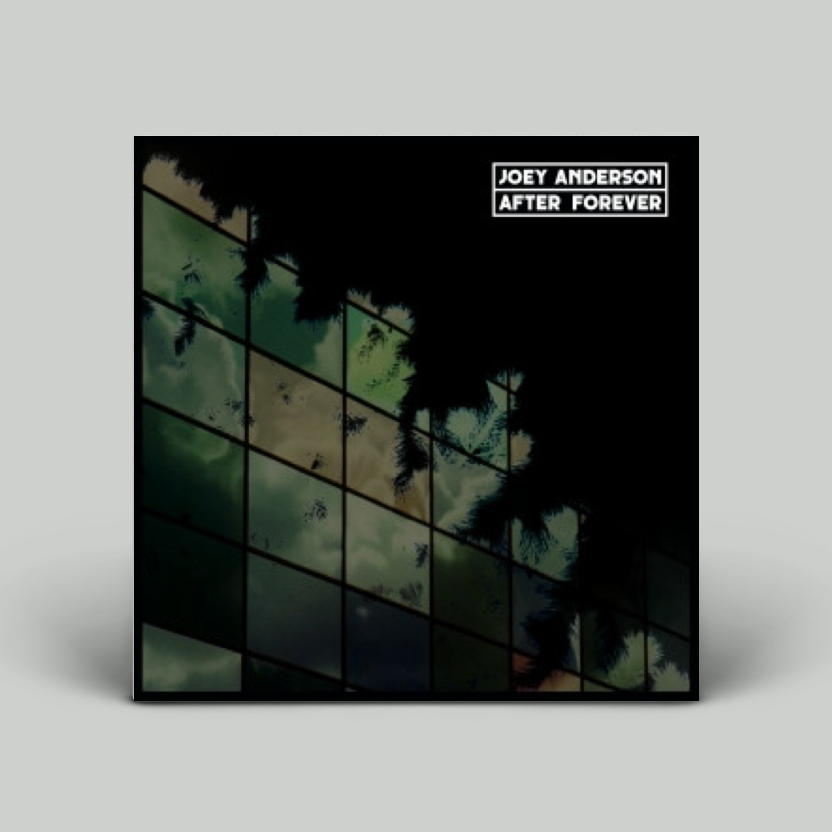 Joey Anderson – After Forever