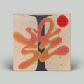 Spirit Of Sundaze Ensemble – I