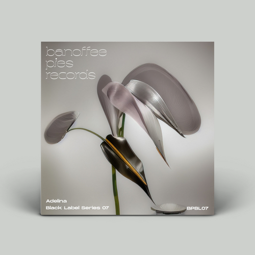 Adelina – Black Label Series 07
