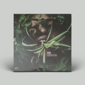 PS5 – Echologia