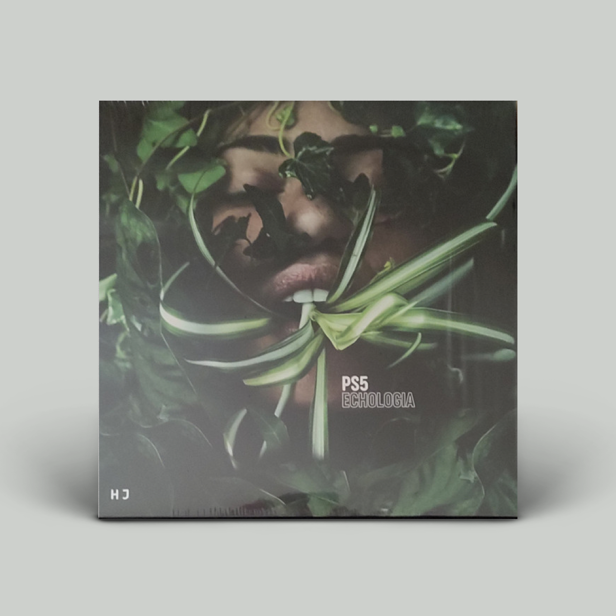 PS5 – Echologia