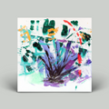Boy Oh Boy – So, What's Your Plan? (Vinyl)