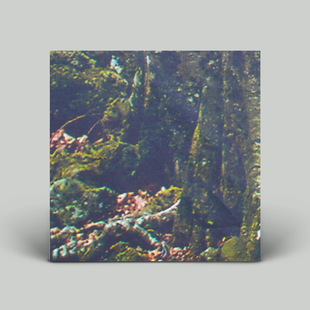 S Olbricht – For Perfect Beings