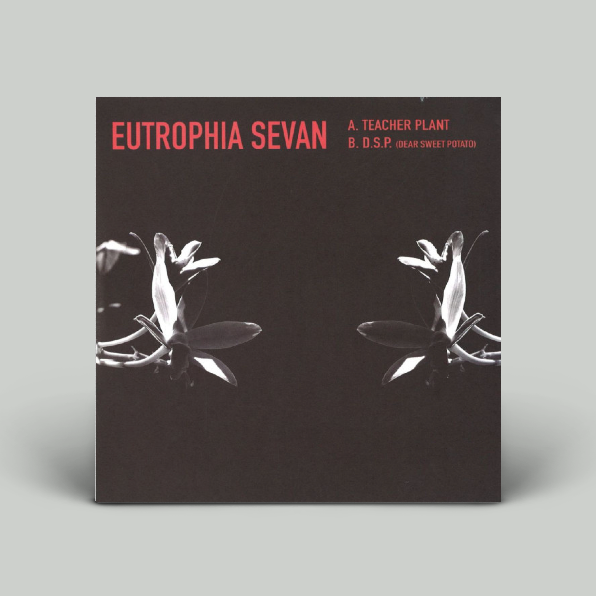 Kyle Hall – Eutrophia Sevan