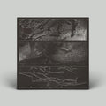 Various – Blue Hour Presents TERRA