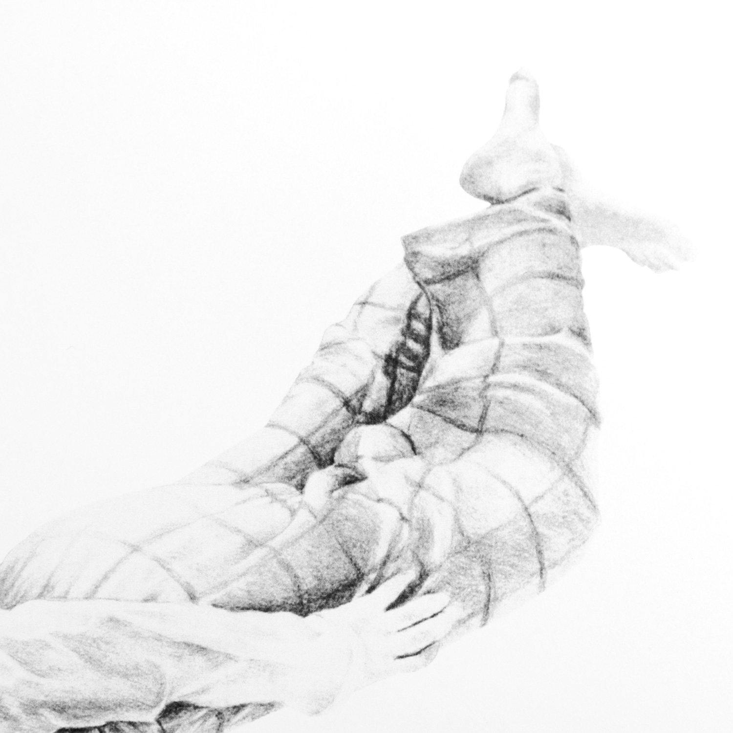 Louise Kanefuku - Estudo Sobre A Insonia V A4 - Circus Network Street Art and Illustration