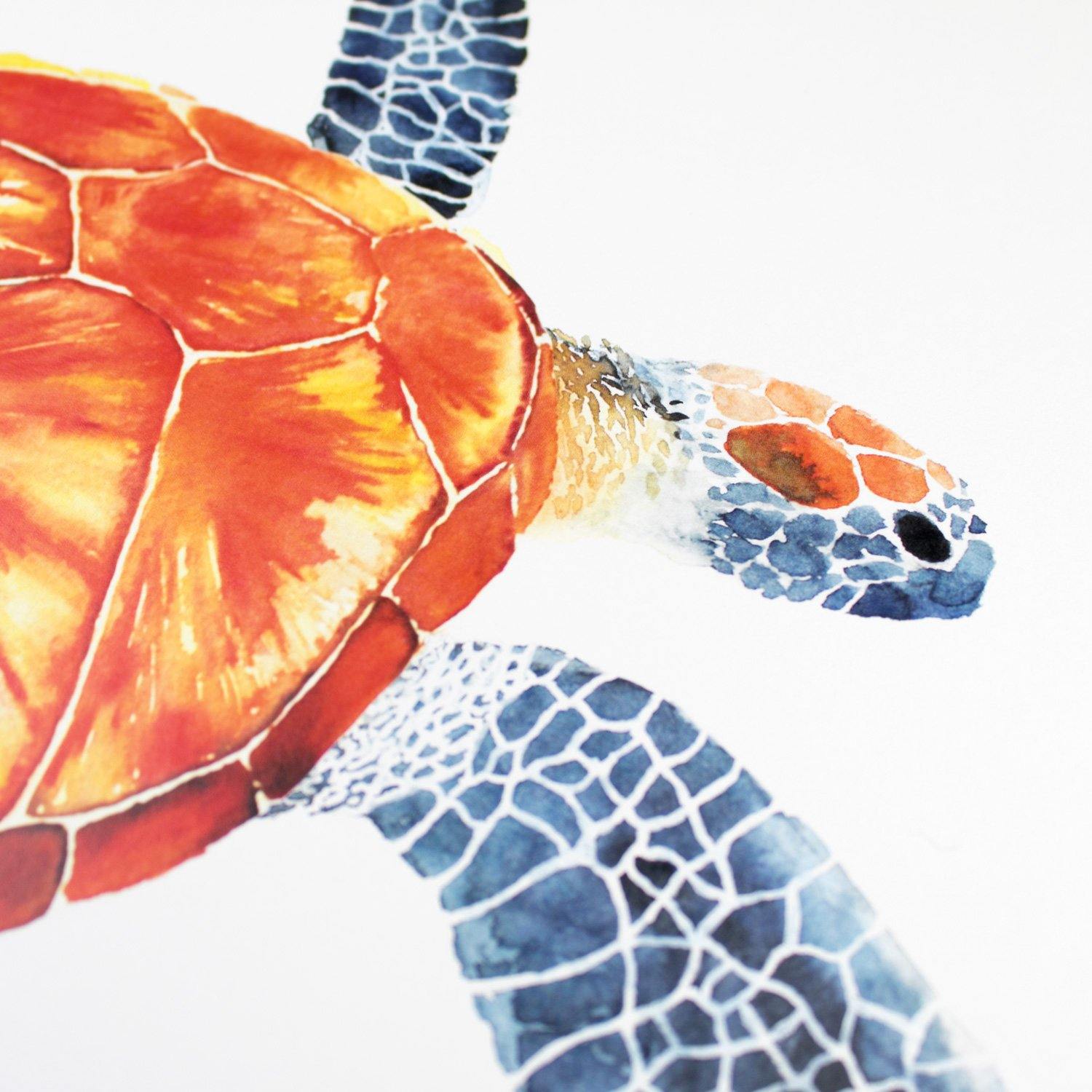Louise Kanefuku - Tartaruga A4 - Circus Network Street Art and Illustration