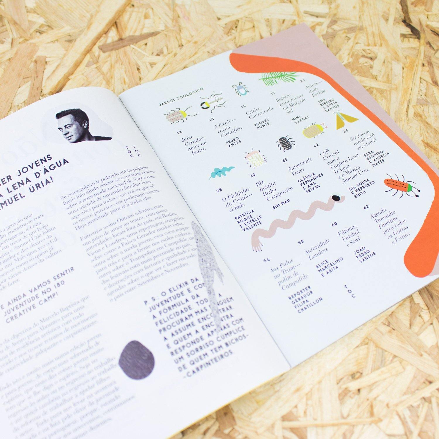 Revista Gerador - #15 Bichos Carpinteiros - Circus Network Street Art and Illustration