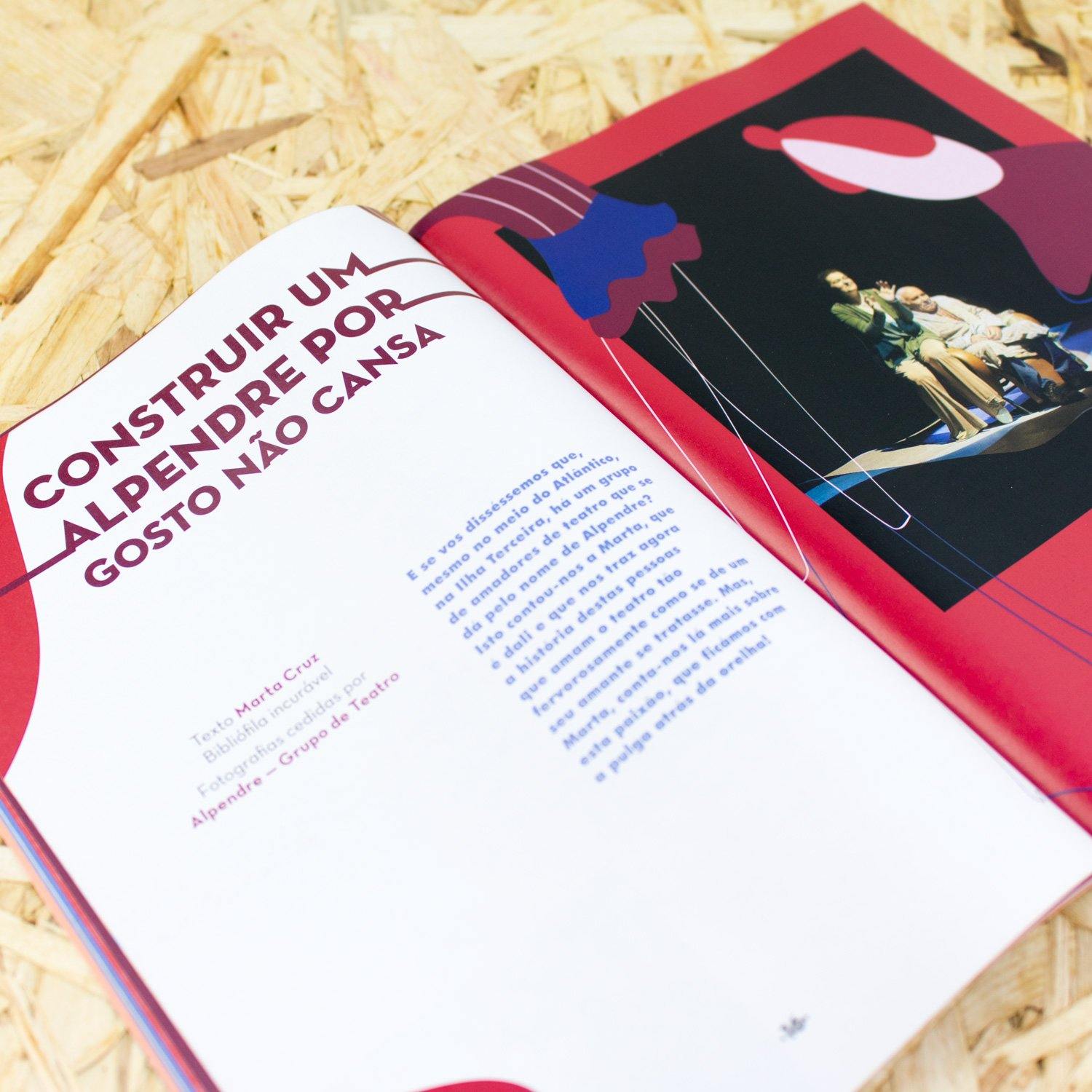 Revista Gerador - #23 Dos Amadores - Circus Network Street Art and Illustration
