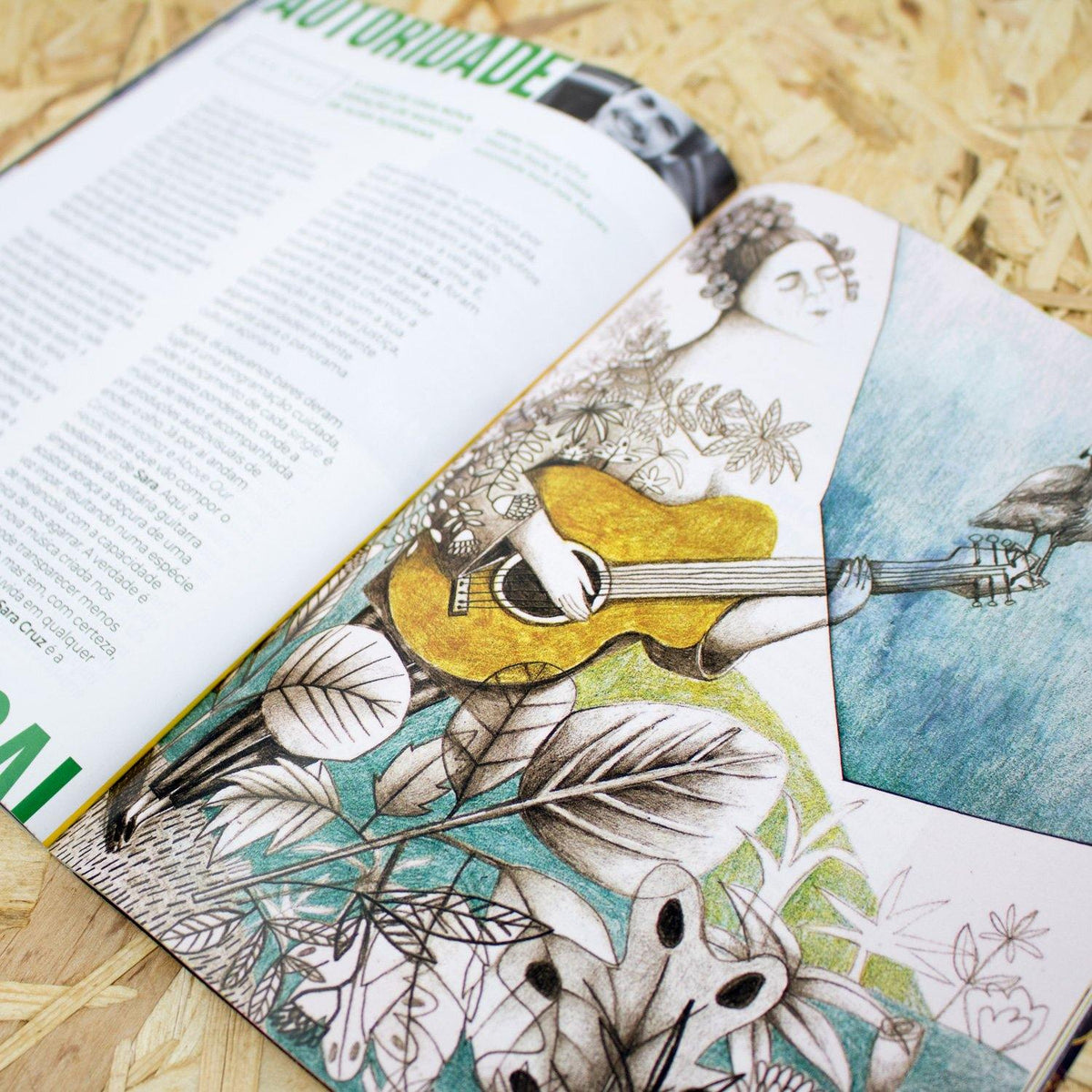 Revista Gerador - #25 Agora é que são elas - Circus Network Street Art and Illustration