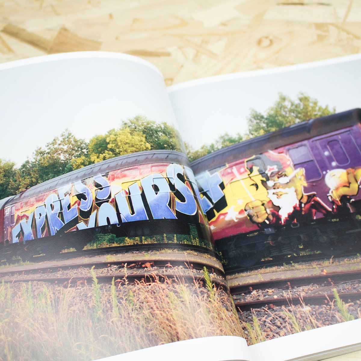 Kristian Kutschera - Action Paiting - Bringing Art to the Trains - Circus Network Street Art and Illustration in Porto Portugal